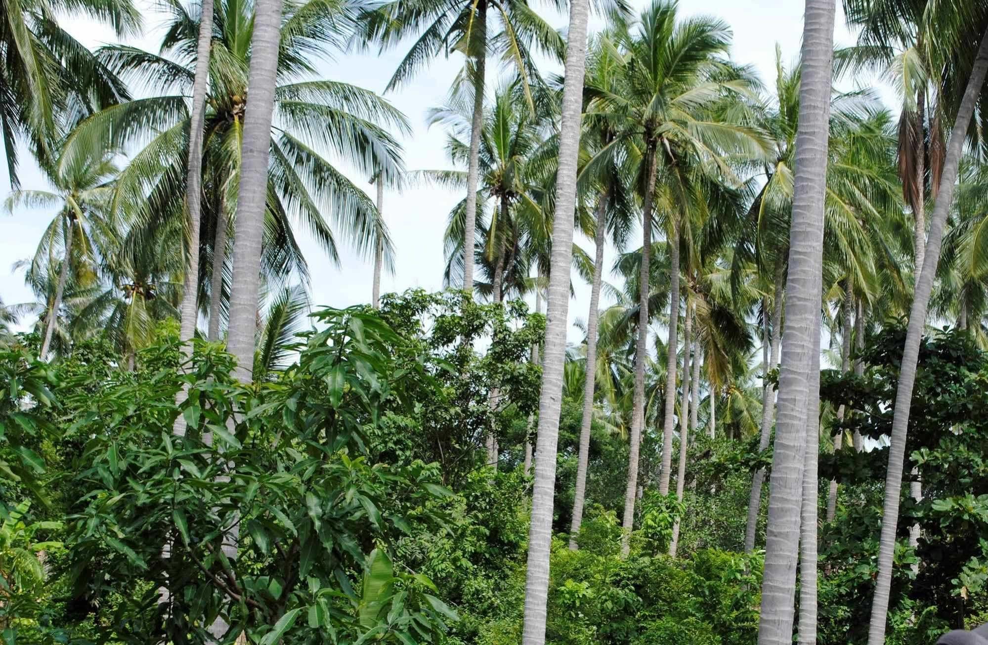 Resort Baan Sawan Samui Strand von Chaweng