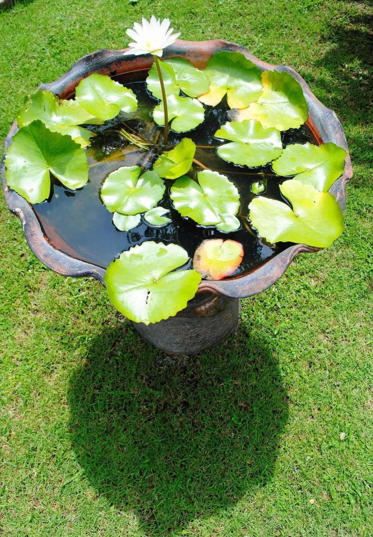 Baan Sawan Samui 4* Strand von Chaweng